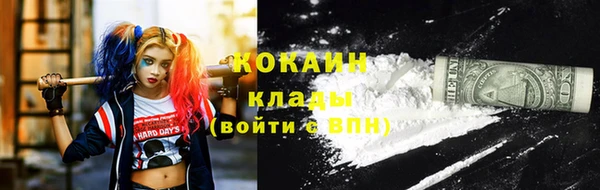 хмурый Гусев