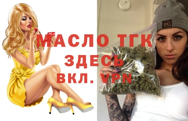 хмурый Гусев
