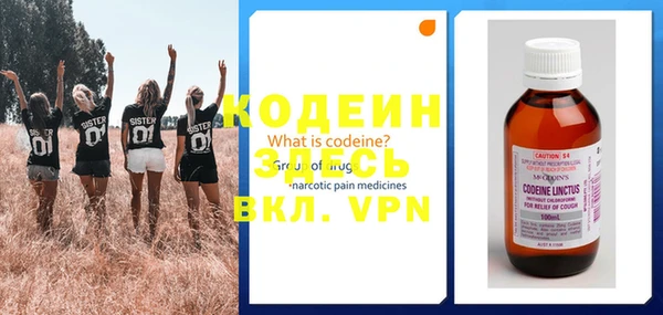 хмурый Гусев