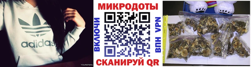 цена   Оха  Галлюциногенные грибы Magic Shrooms 
